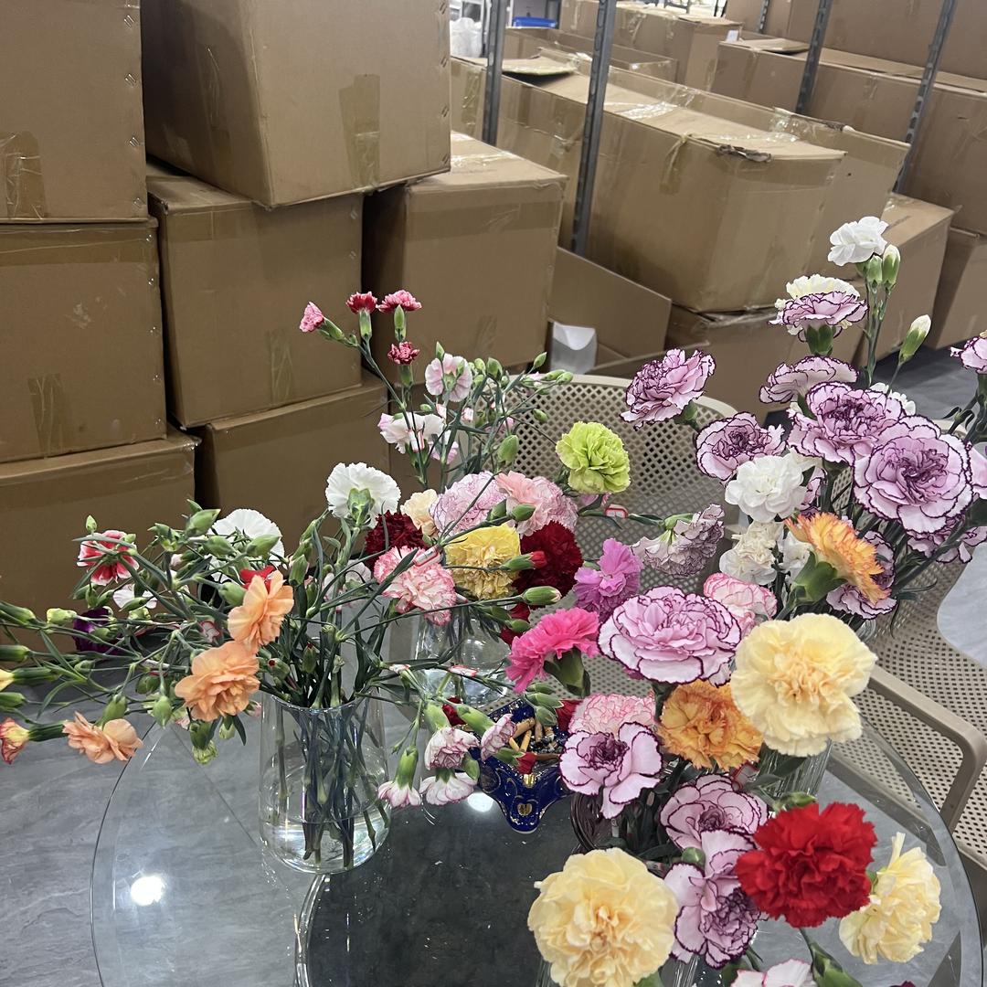 花真好洋桔梗基地