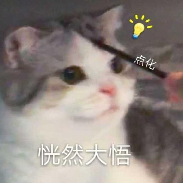 泡泡可乐头像