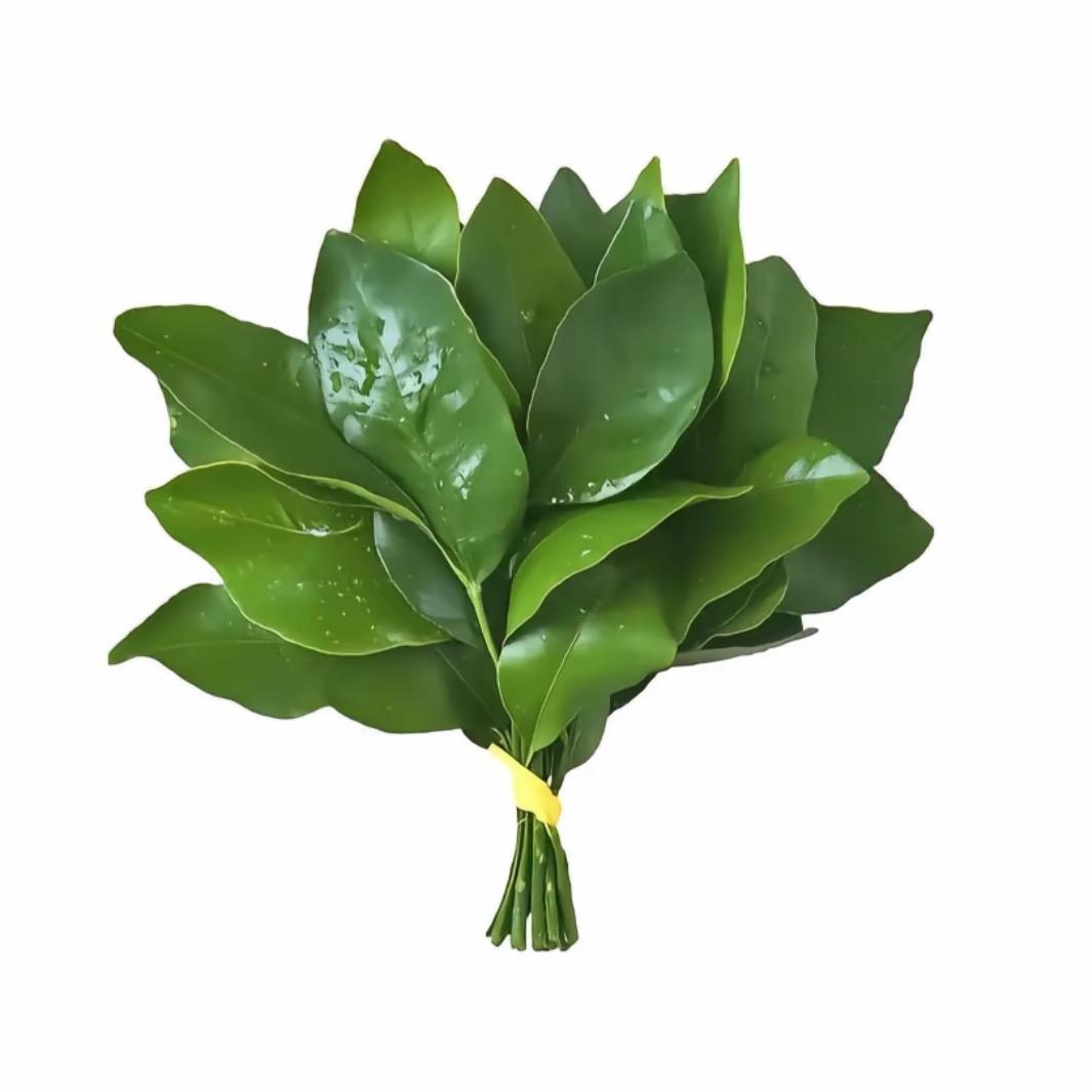 有心柿了