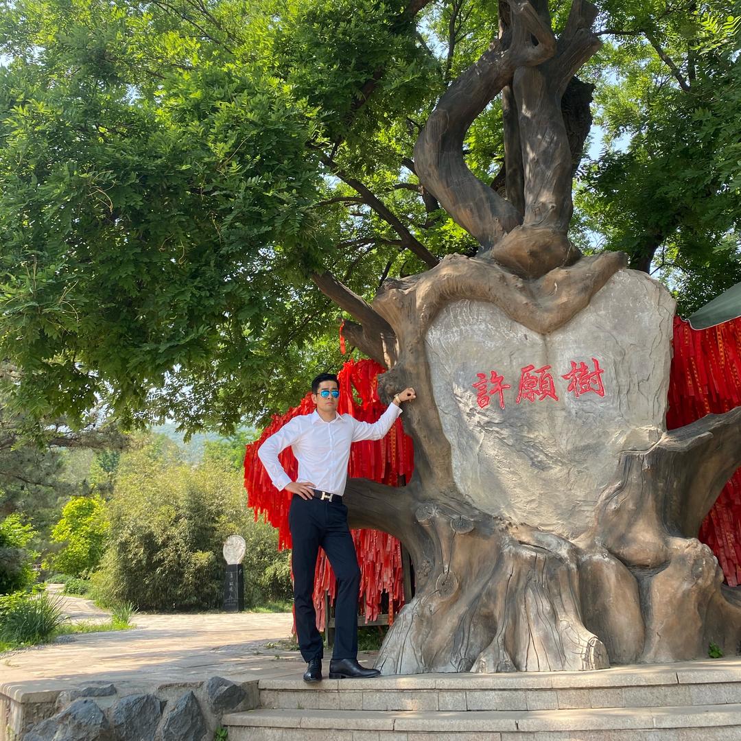 阳哥认知圈