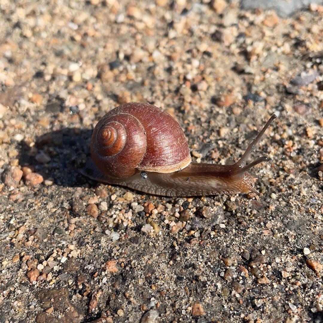 恒德食品经销部
