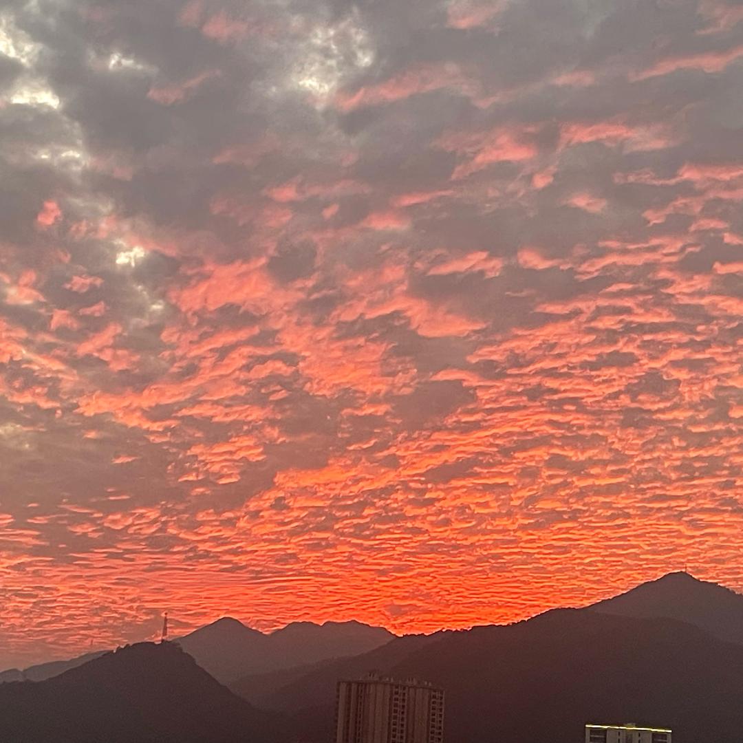 好好奇拍网厂家