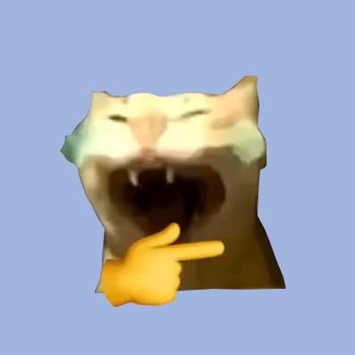 猫meme乐趣剧场