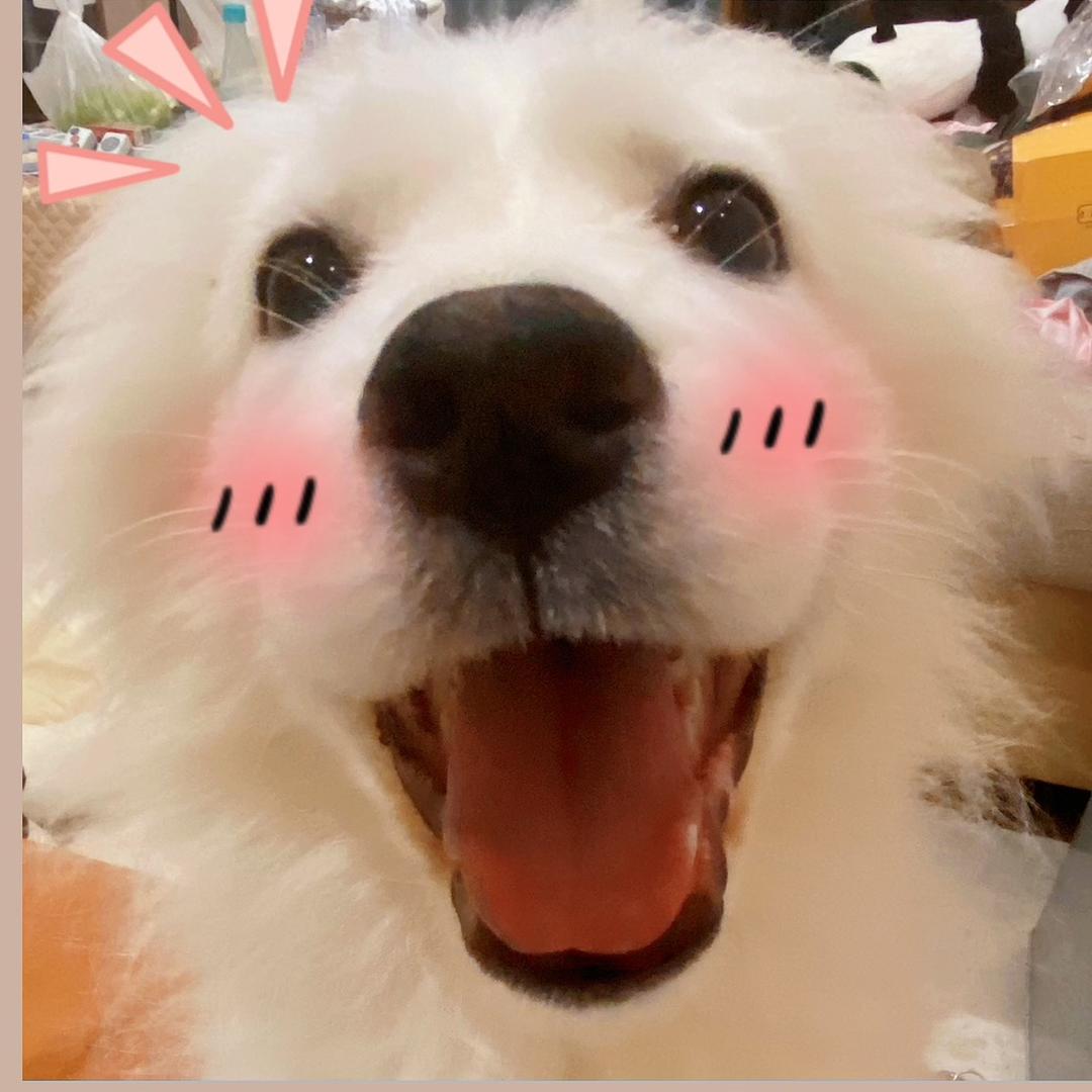 蘂蘂