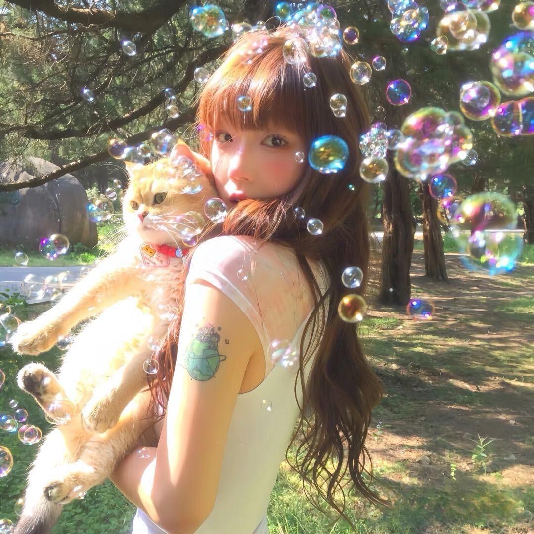 桂花高