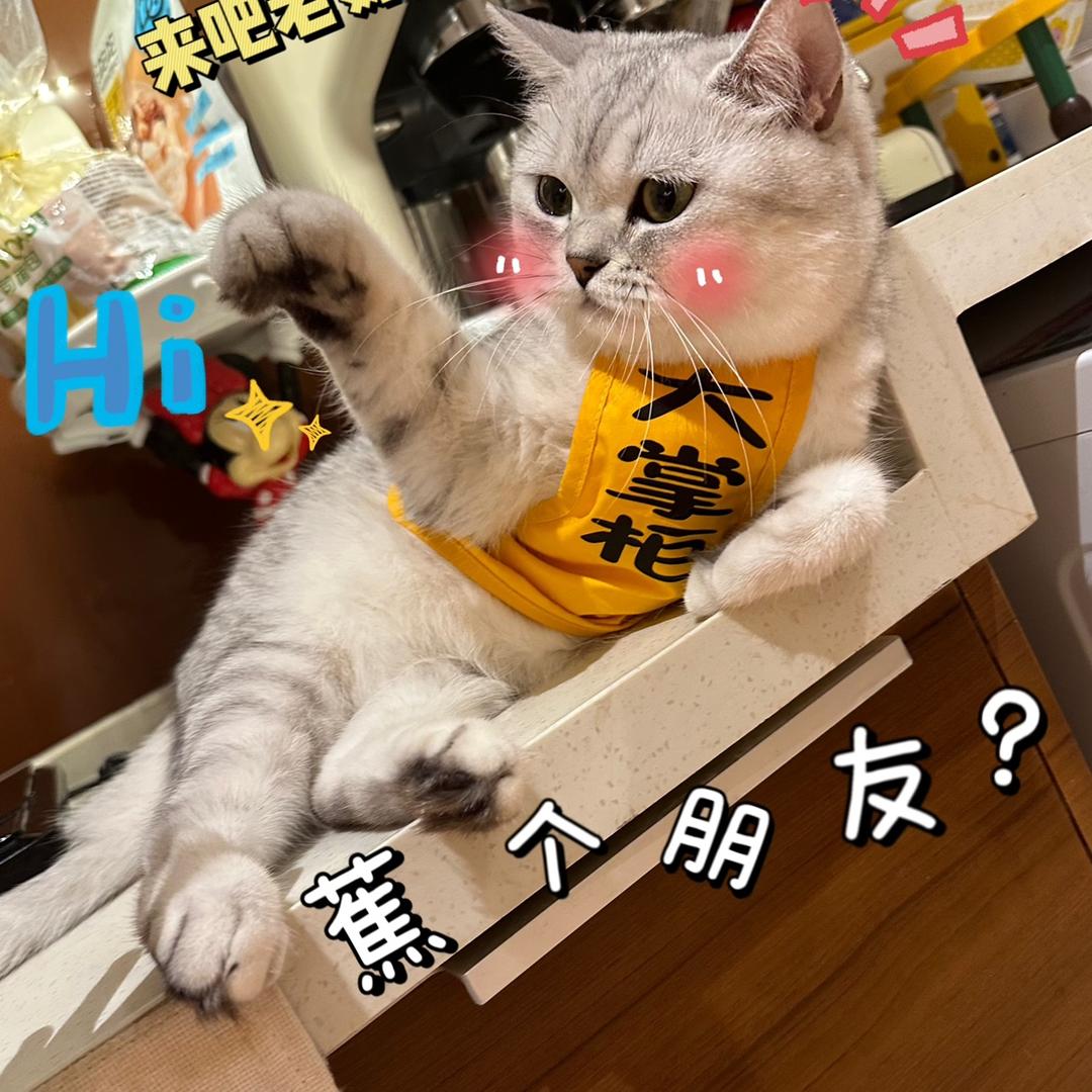 善善好物