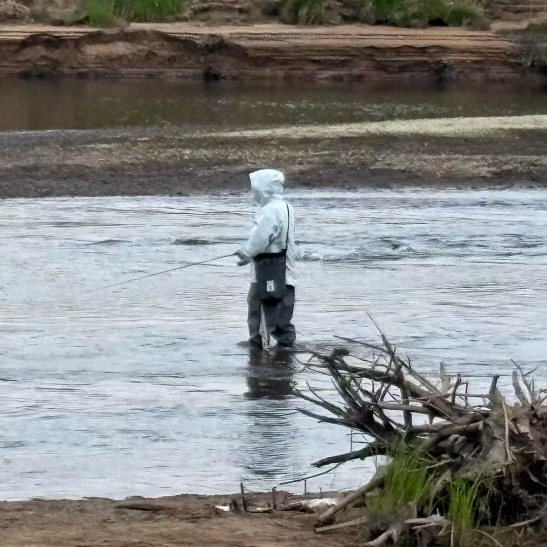 鱼乐@𓆡𓆝𓆟𓆜