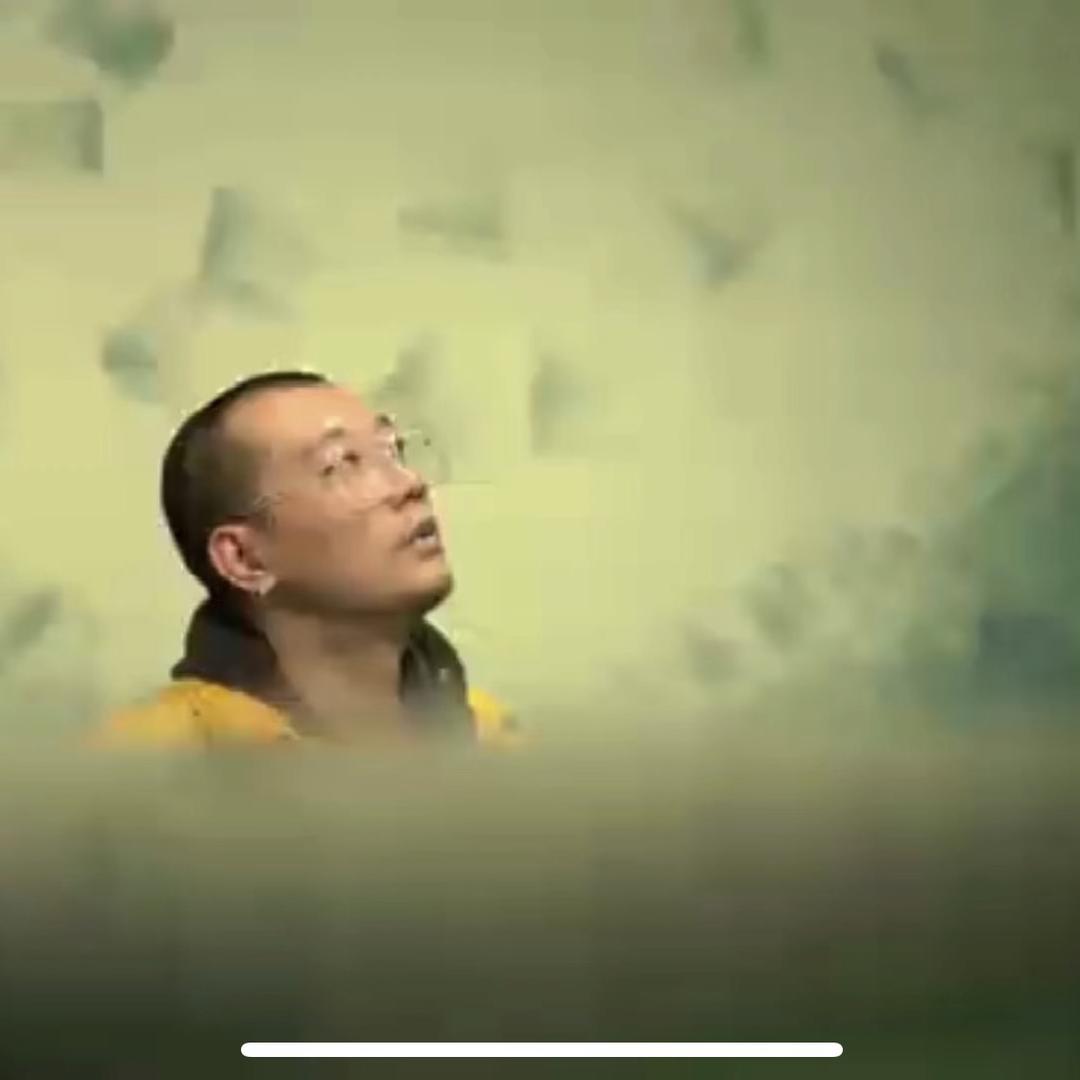 萧礼晨