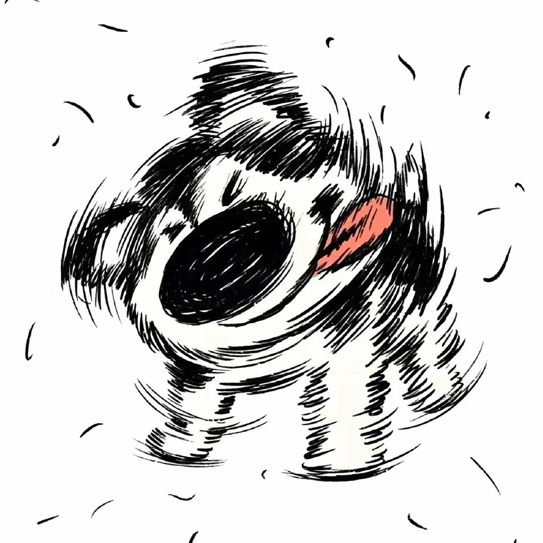 熬夜的小熊