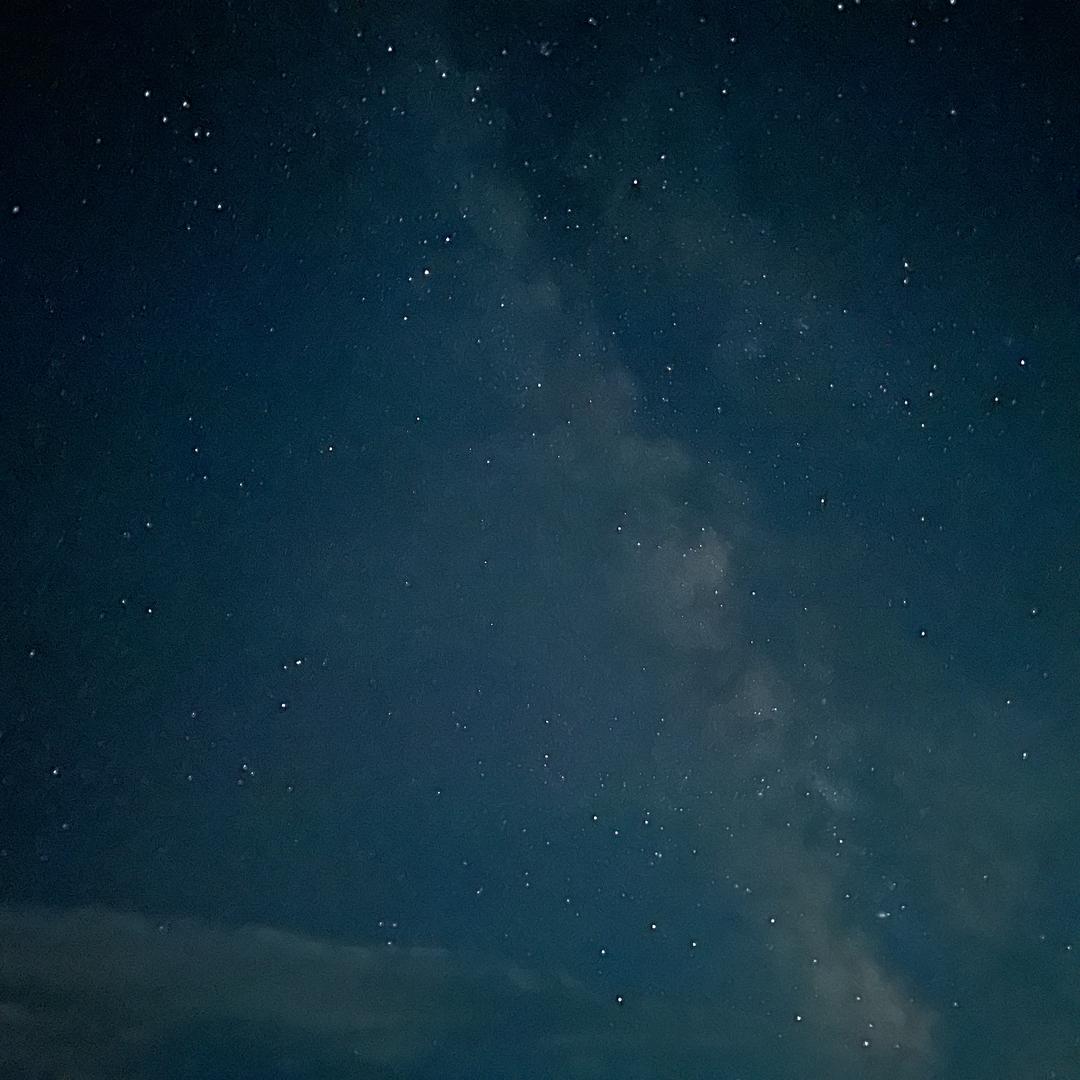 Сайнзориг.