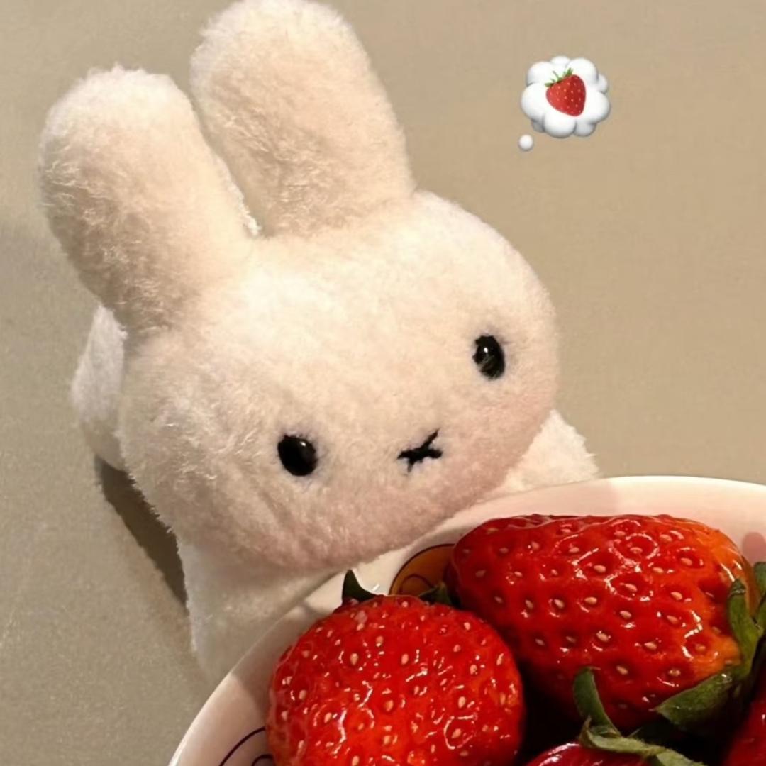 小草莓🍓