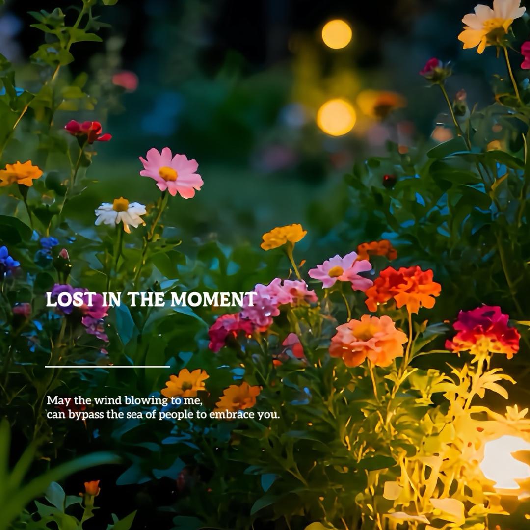 💗᭄余生ᝰᩚ随心ꦿ໌