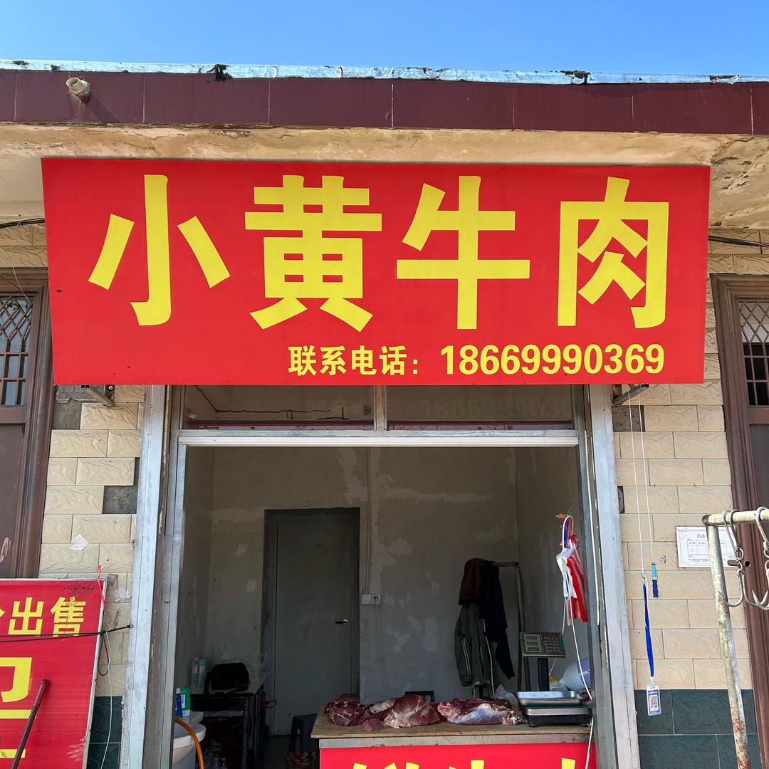 小黄牛🐮