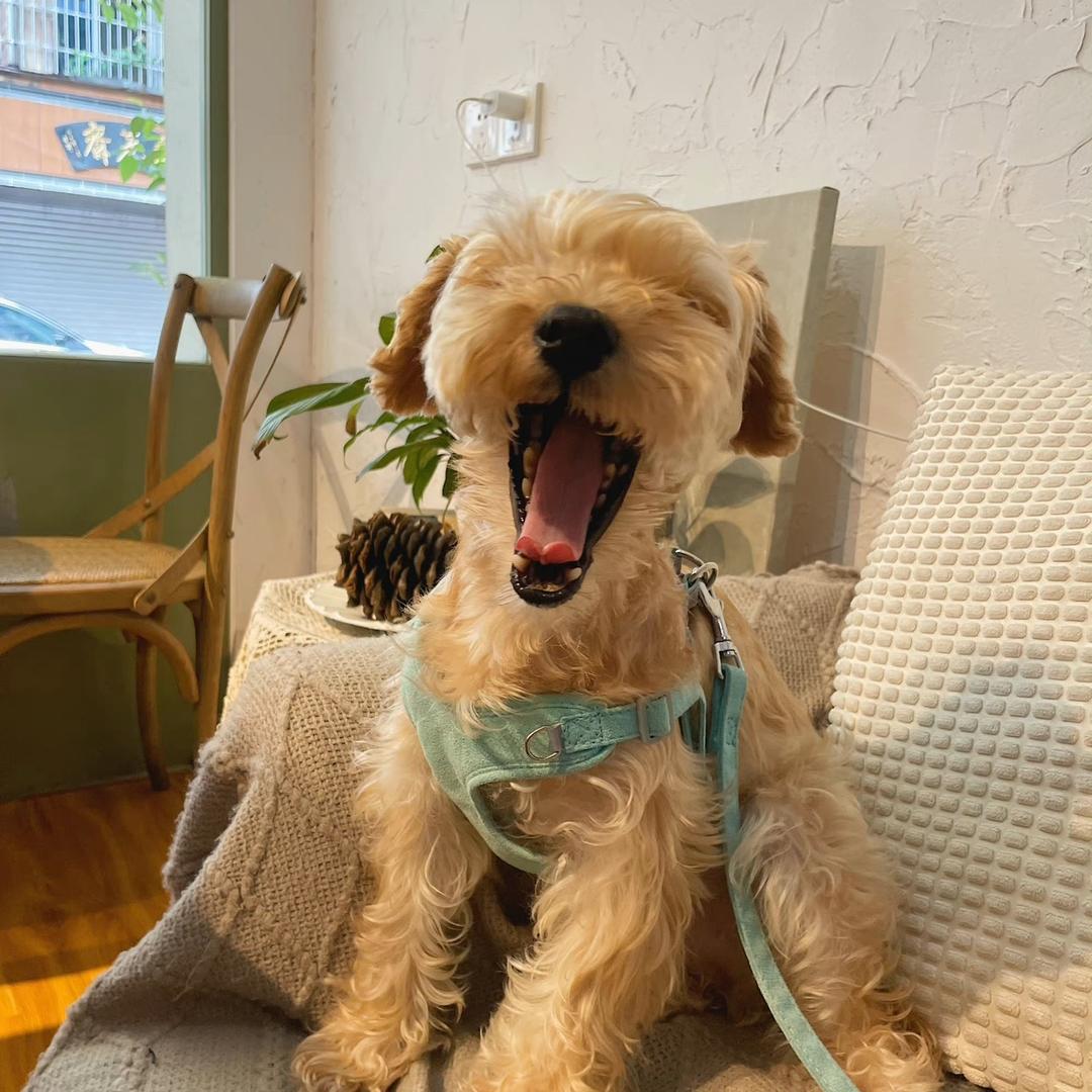 OG_6750第一突击手