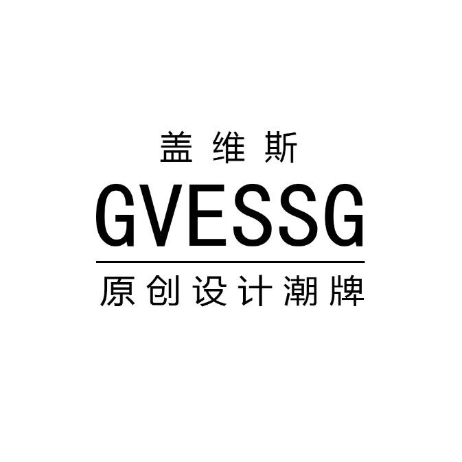 GVESSG盖维斯轻奢箱包