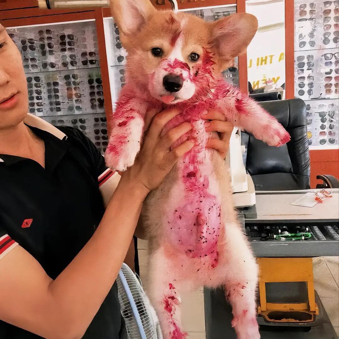 我是真滴猛
