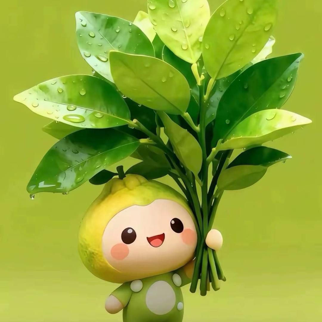 🌈顺颂时宜💫