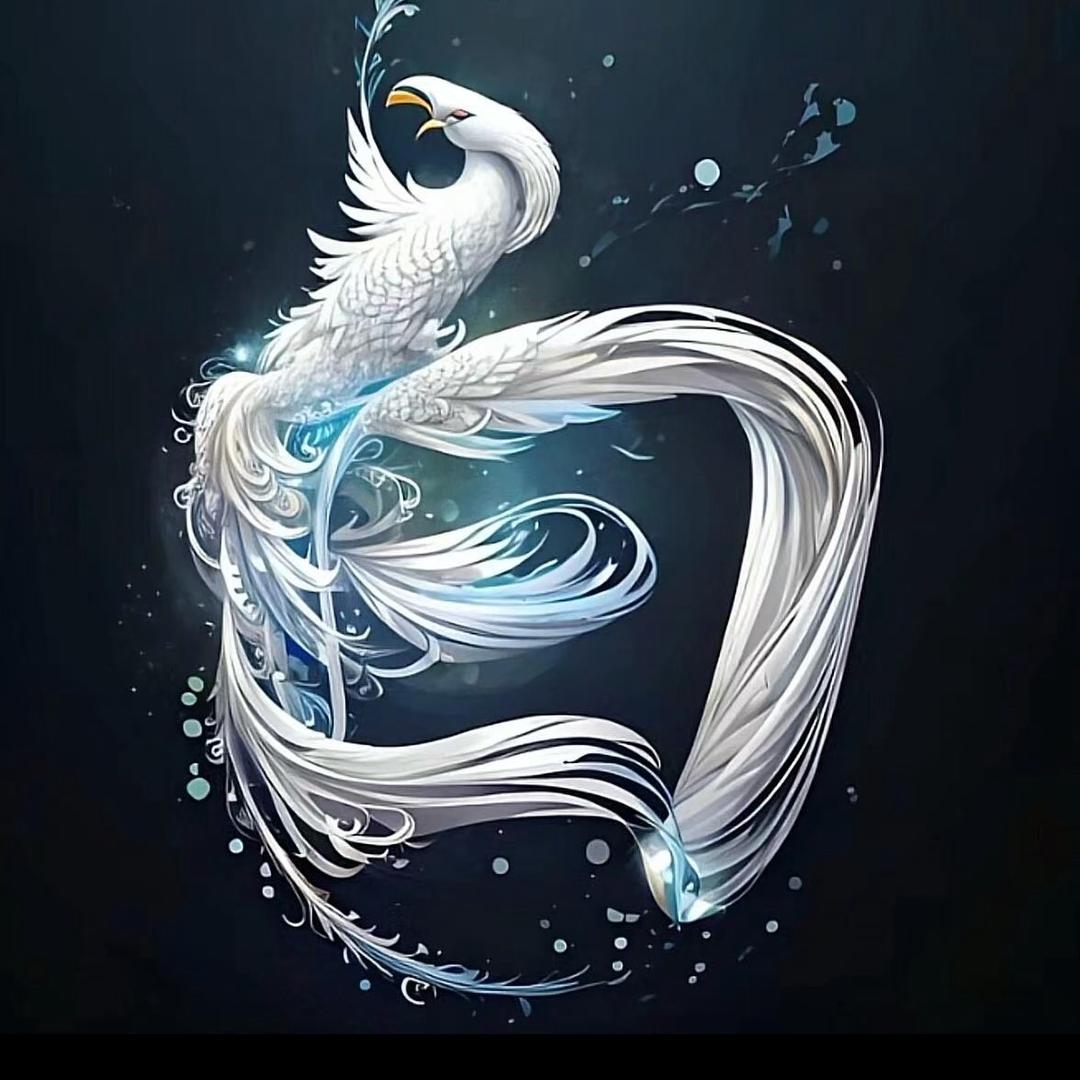 兰宇