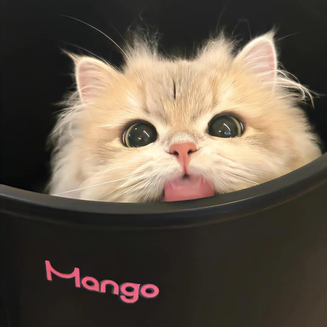 江喜悦😄
