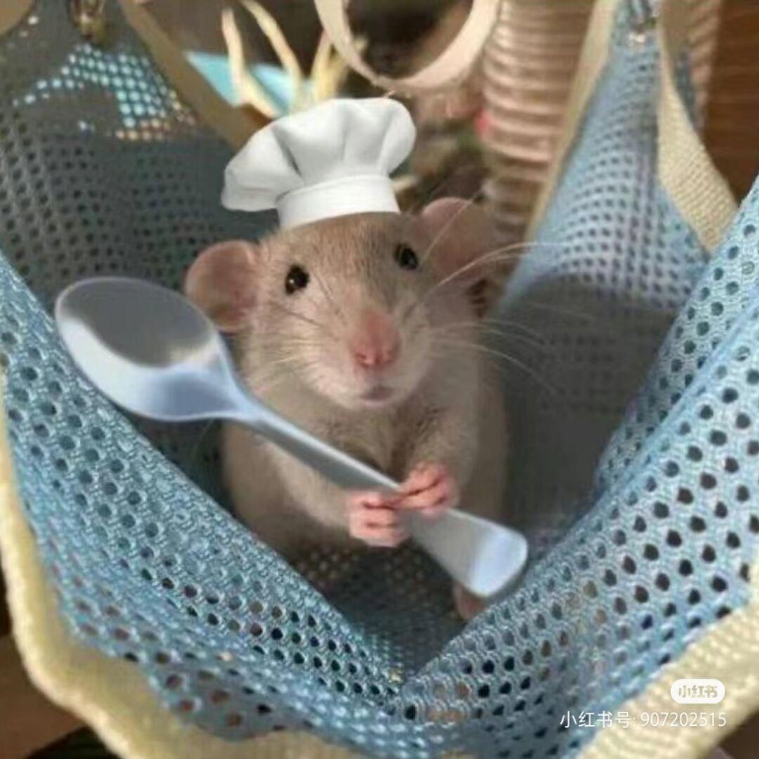 料理鼠王🐭