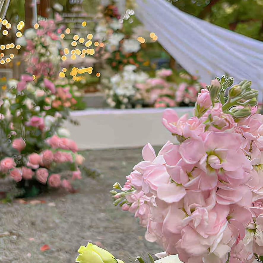 Ch·ෆどen❛‿˂̵🍓