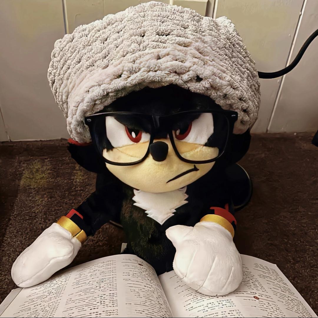 朋侨