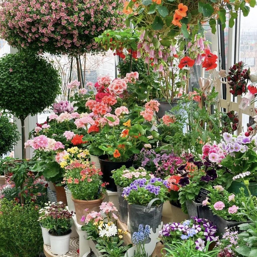 花瑜园艺