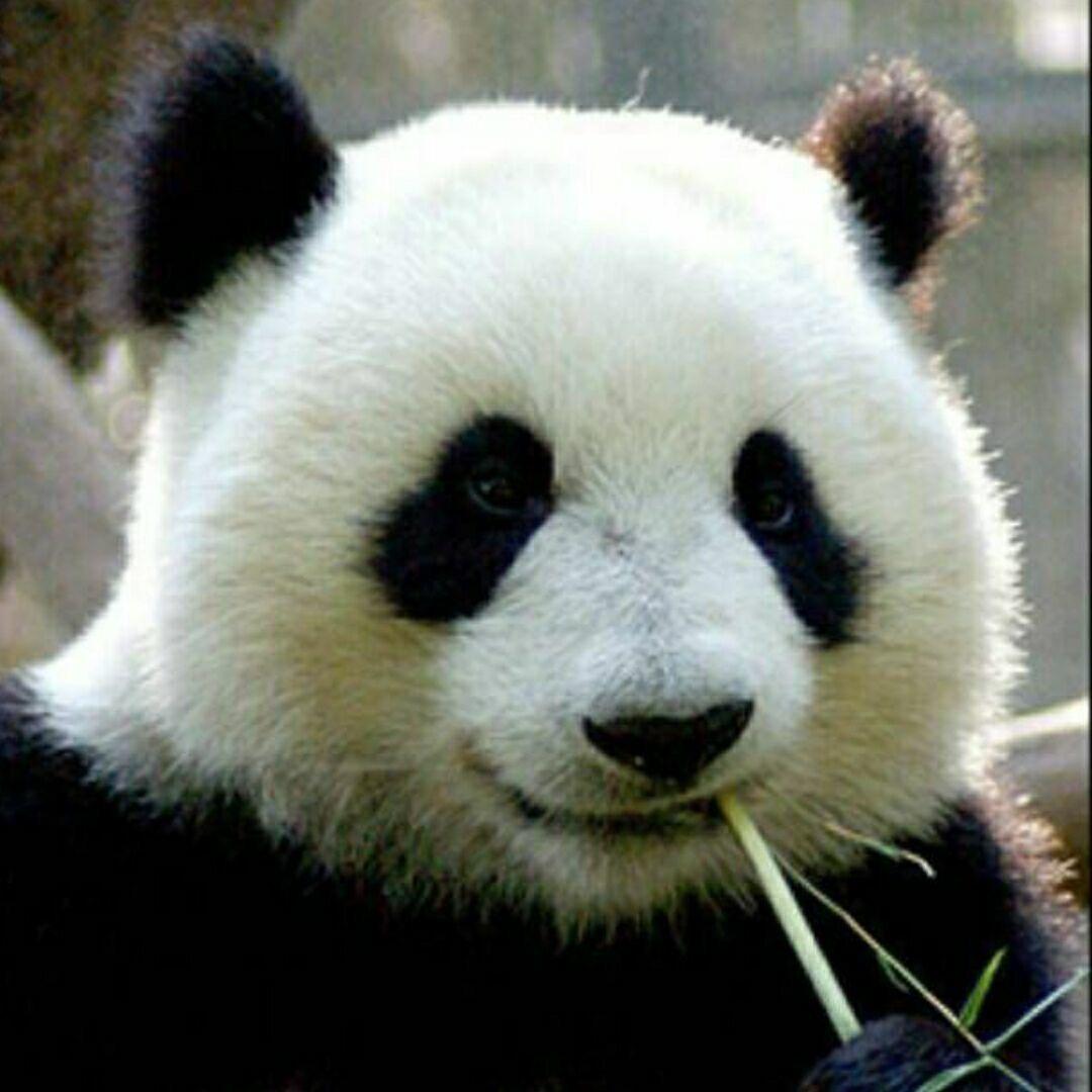 风宇