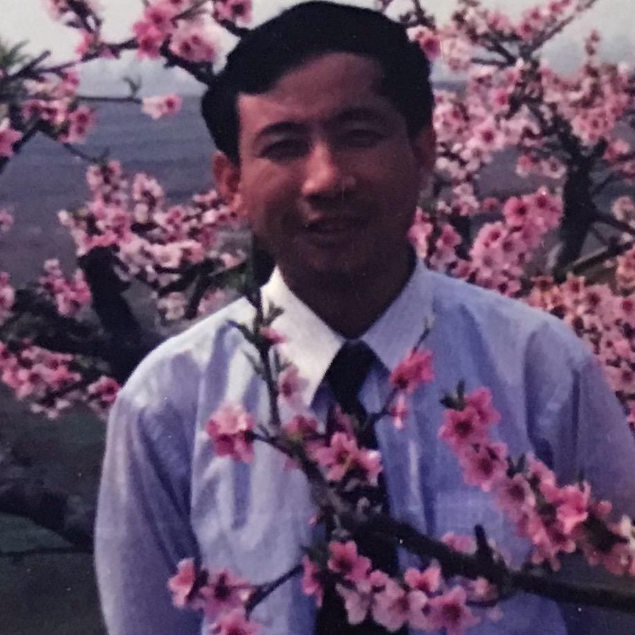 大山情深