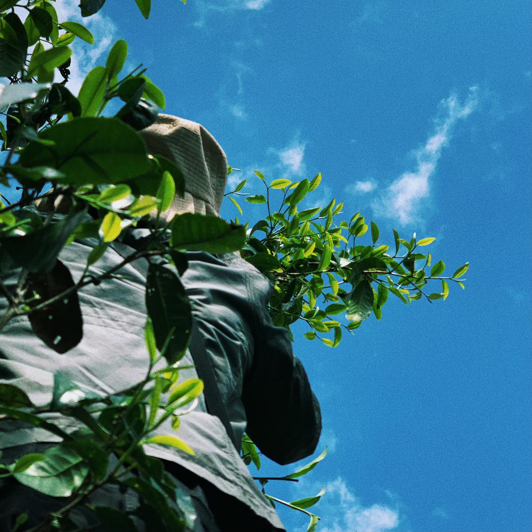聂师傅的茶🍵