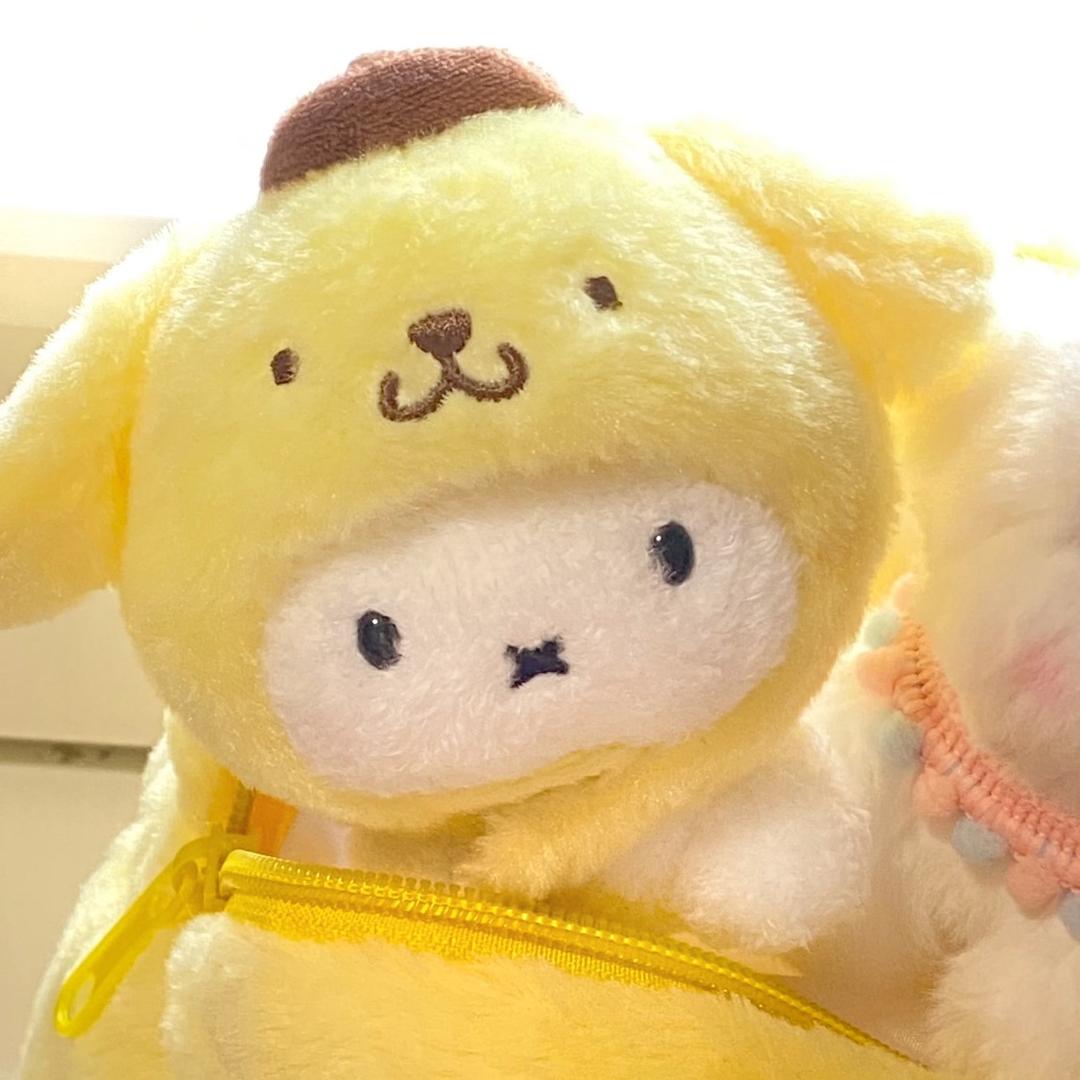 小得盈满