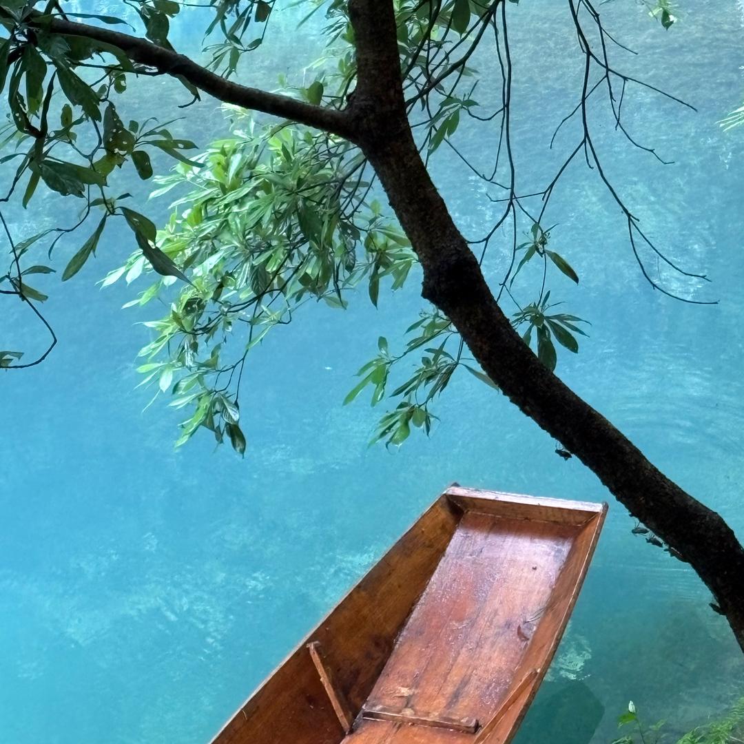 仁泽微光