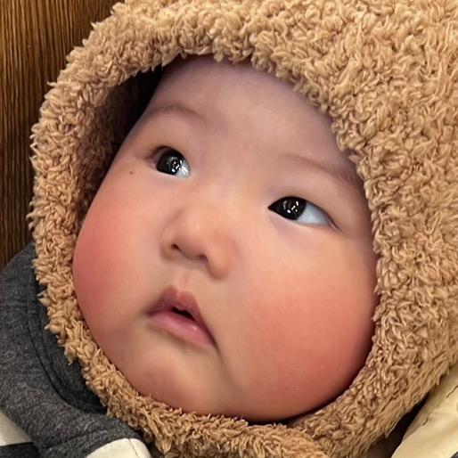 東瀛呆狗