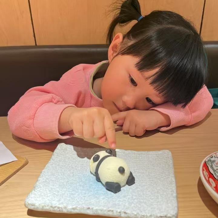 燕子🌺