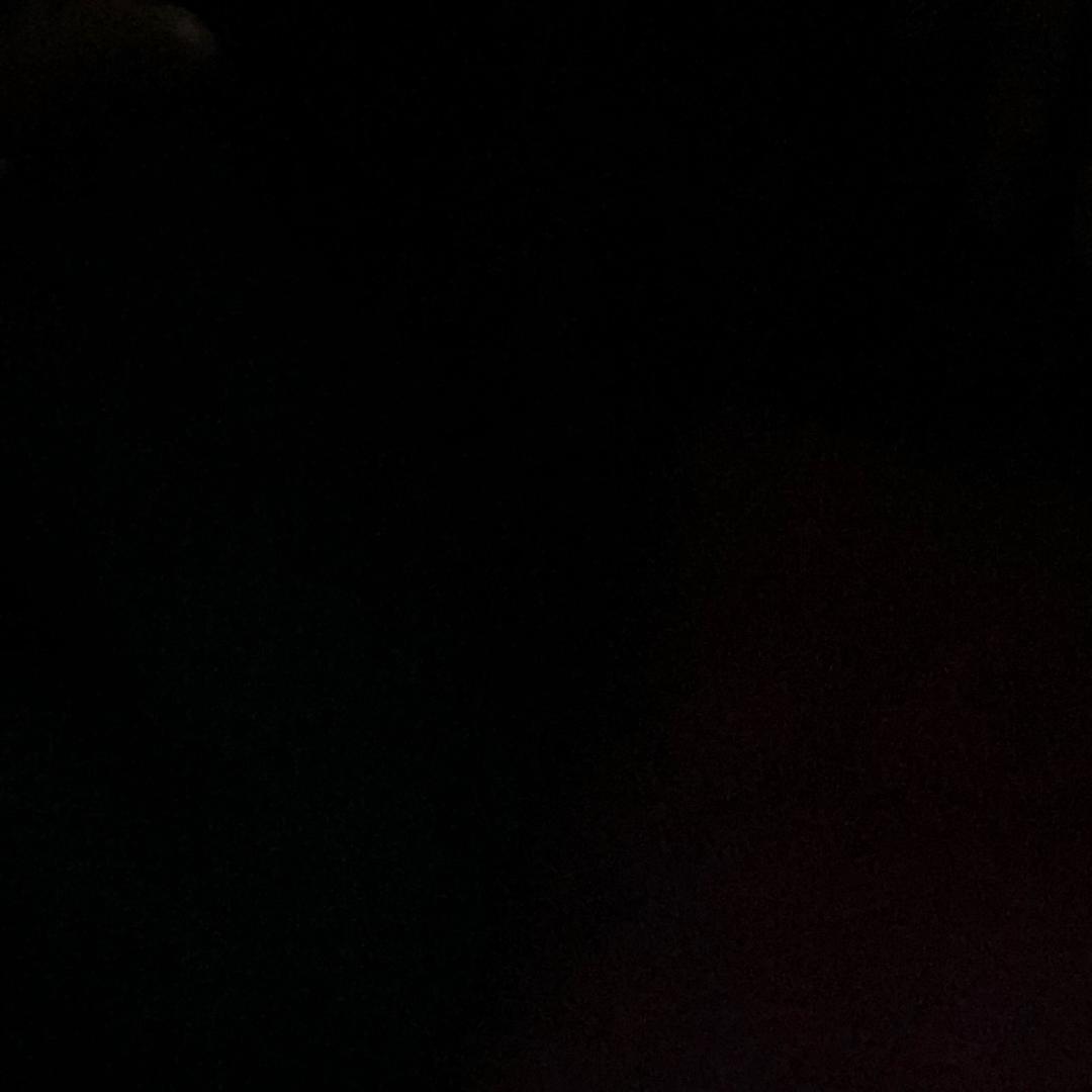 萌犬小七