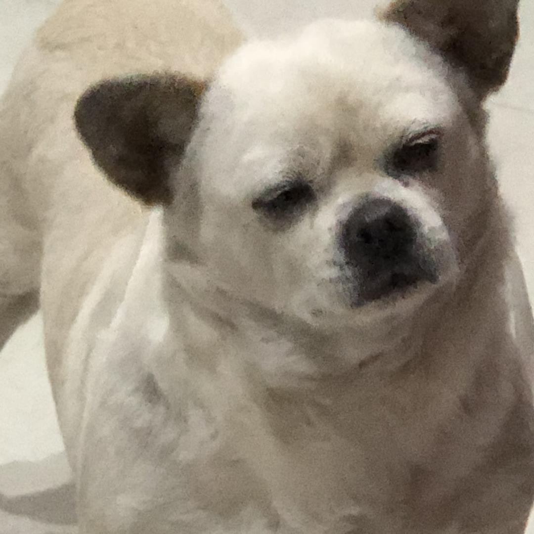 你的强走了