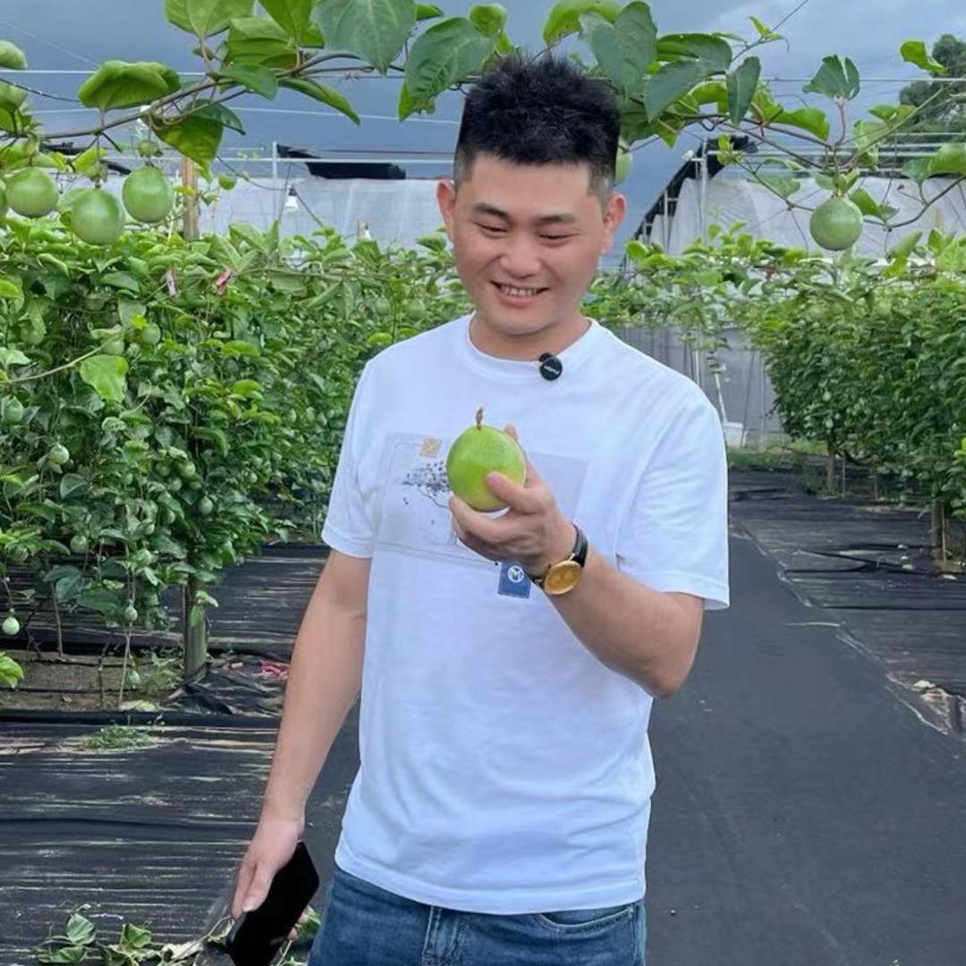 大坪洋农业