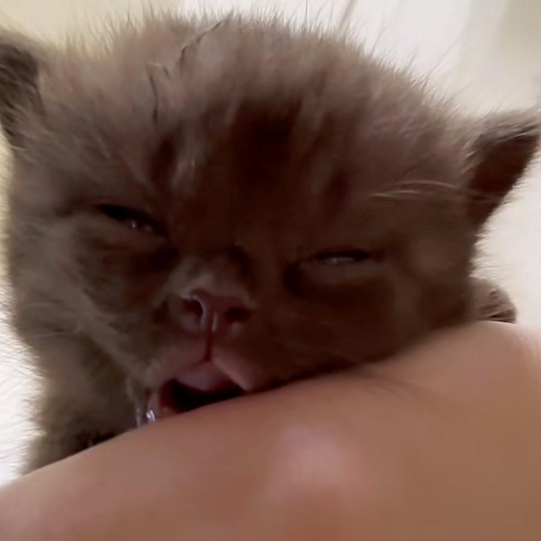 帅的被当街打死