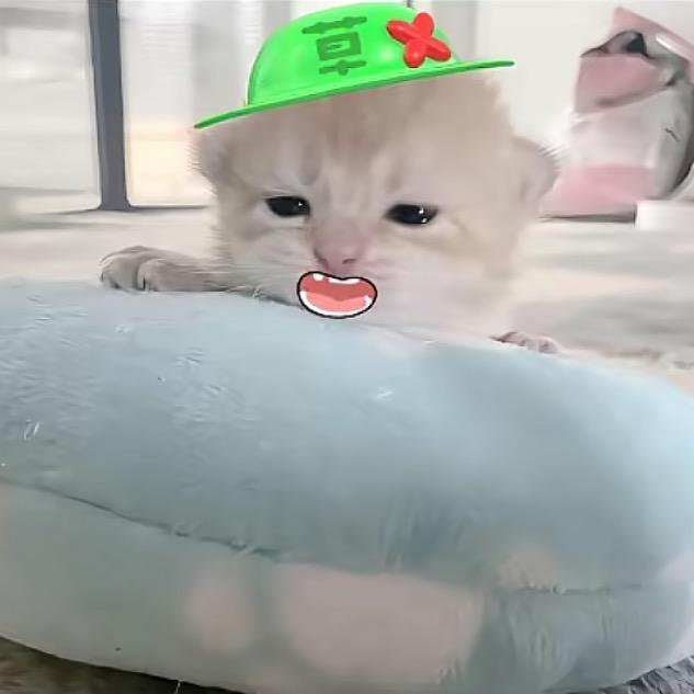 1Jiww