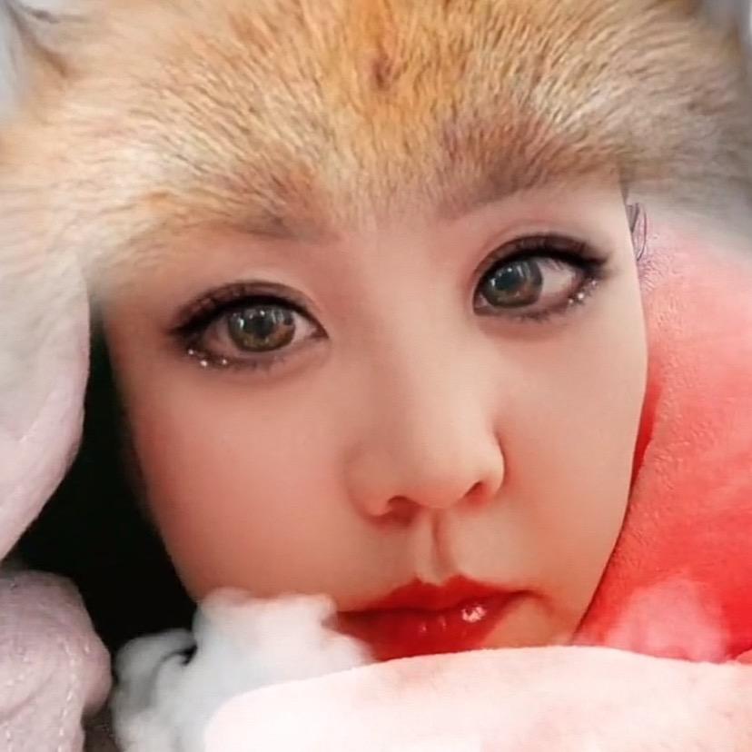 一花一叶一莲心