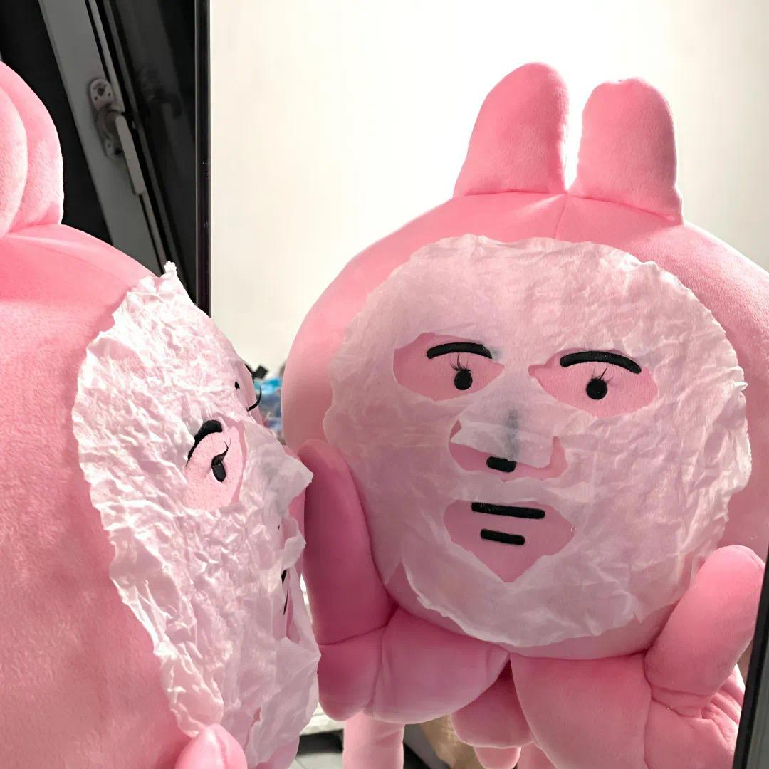 柔柔不吃鱼