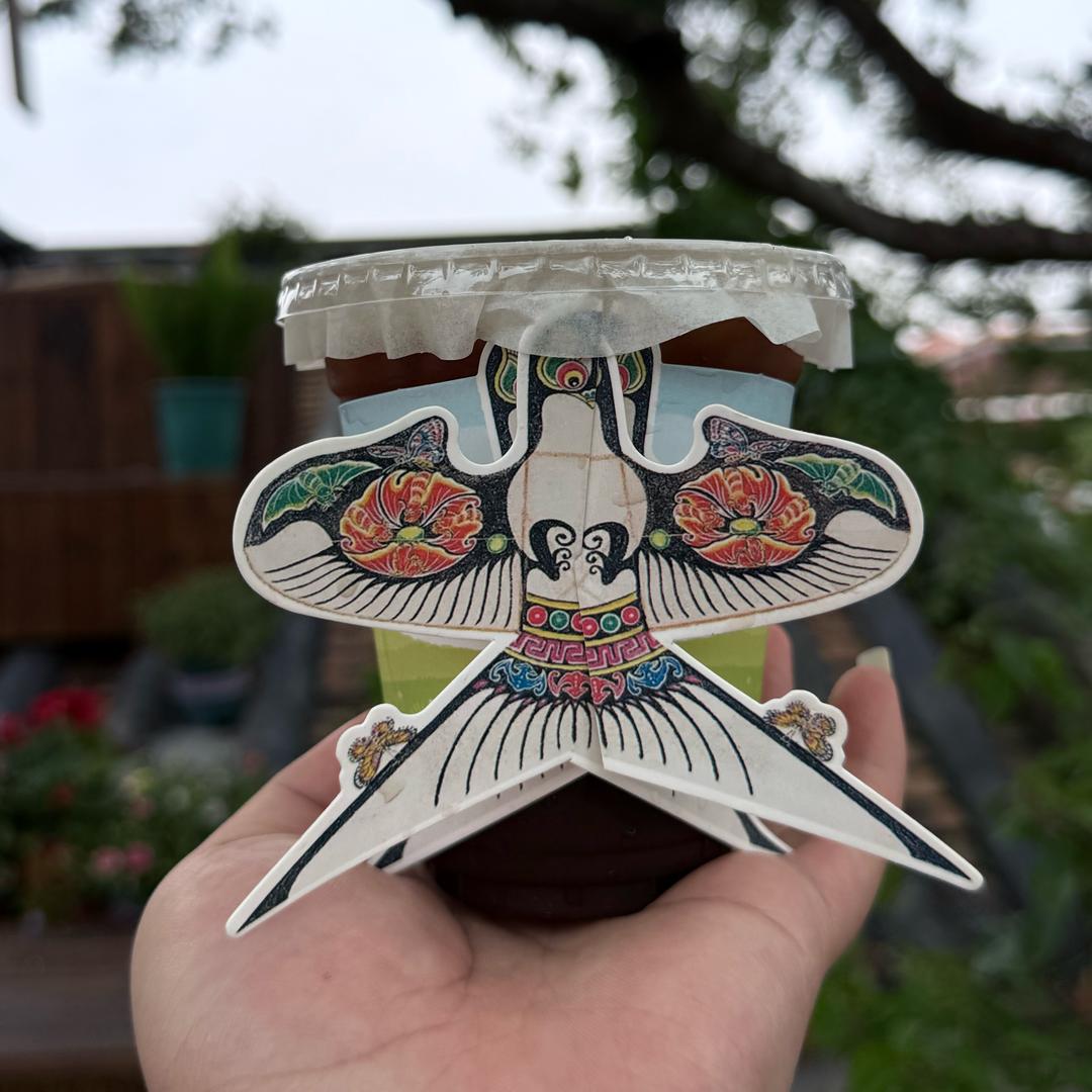 来杯美式不加冰～