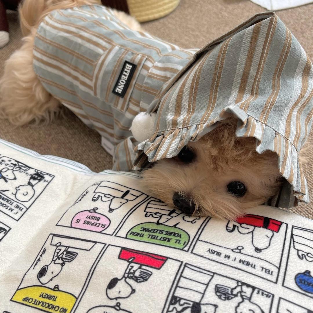 性感小蝴蝶
