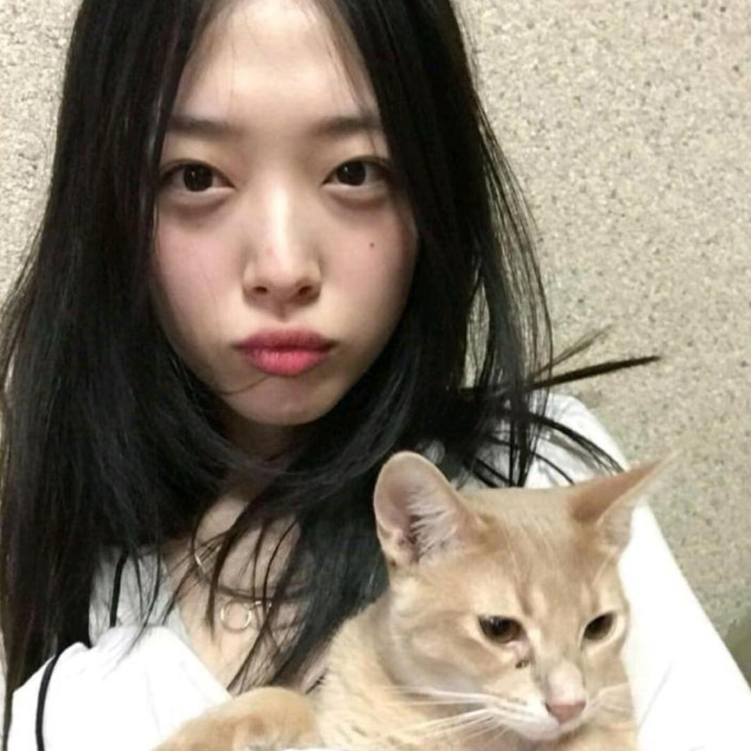 不是一般的不一般