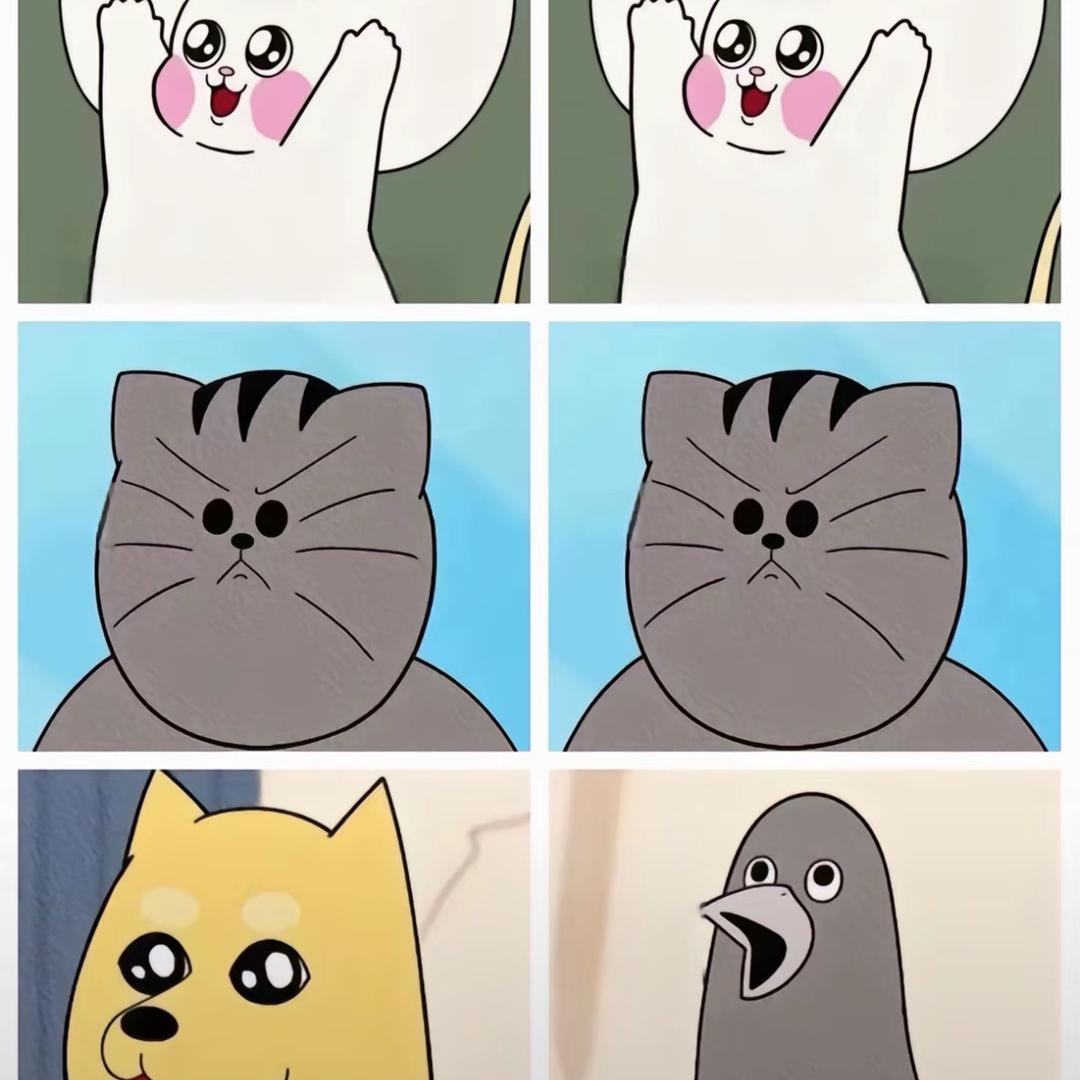 yang鼠鼠猫猫鸽鸽