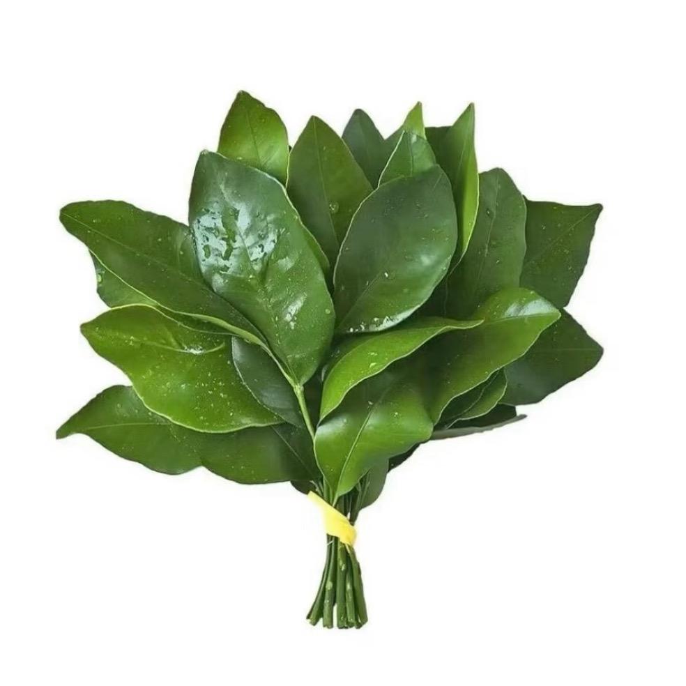 🍊🎋