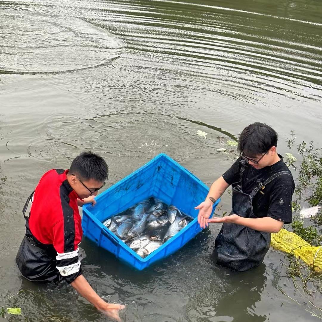 江阴品一空间装饰