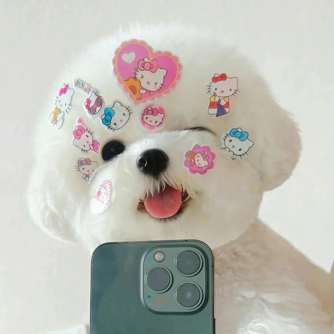 一热爱一