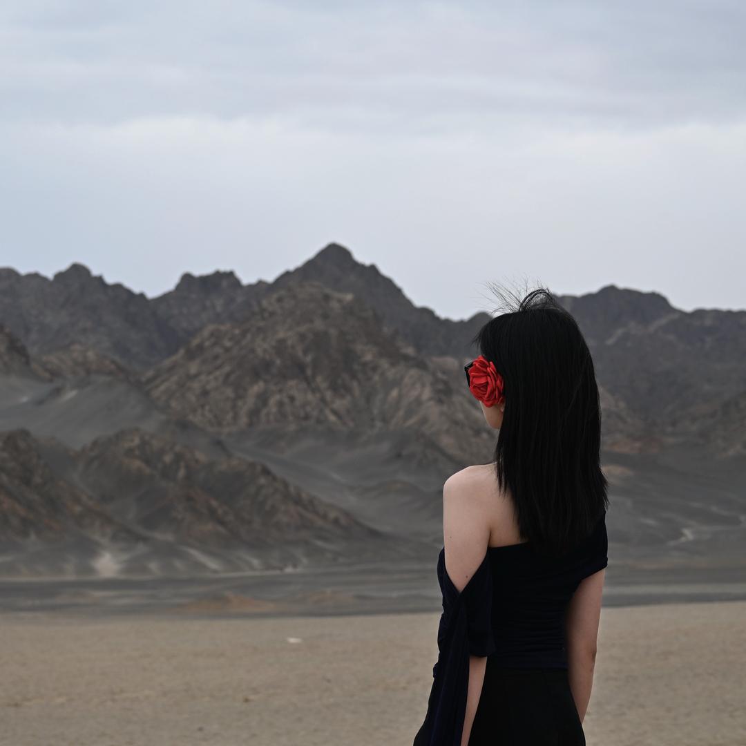 陈子不是橙子🍊