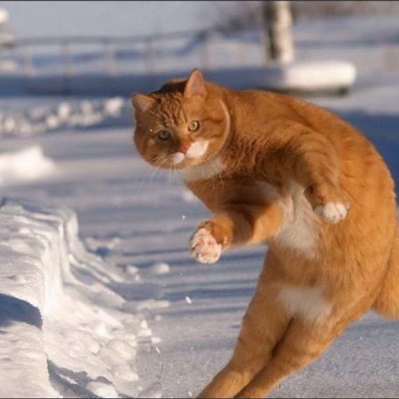 Kevin De Bruyne🇨🇳